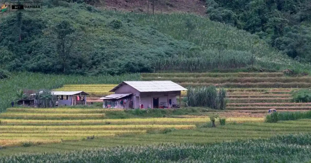 Gambar Pemandangan Alam 